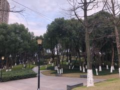 -重庆市江北嘴中央商务区中央公园