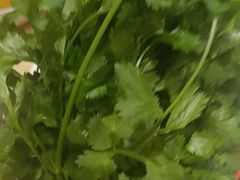 -清真军邺·金富苑肥牛(石坡街旗舰店)