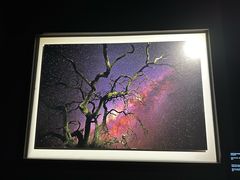 -罗红摄影艺术馆