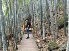 -祁门牯牛降观音堂风景区