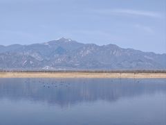 -野鸭湖国家湿地公园