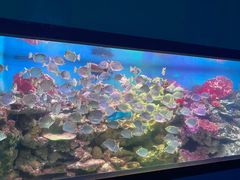 -海合安青岛极地海洋公园