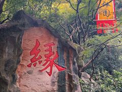 -杭州黄龙洞