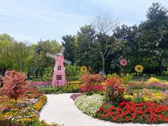 -上海共青森林公园