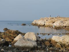 -养马岛旅游度假区