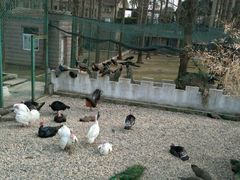 -南京金牛湖风景区