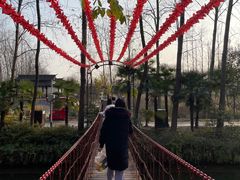 -合肥滨湖国家森林公园