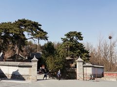 -阿西娅食府(中关村店)