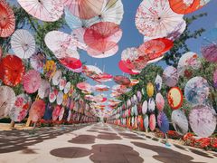 -野鸭湖国家湿地公园