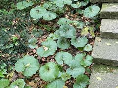 -宁波市保国寺古建筑博物馆