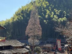 -林坑古村落