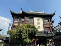 -绿波廊(豫园店)