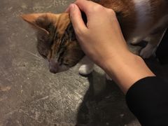-看书吧(体育东横路店)