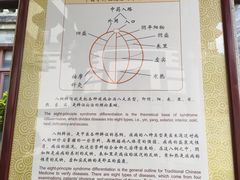 -广州神农草堂中医药博物馆