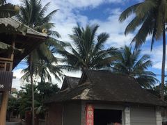 -西双版纳傣族园