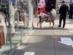 -王府井奥莱棋盘山小镇