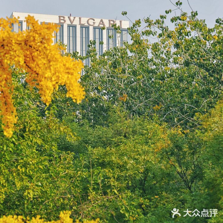 北平之秋｜银杏季｜东直门外大街