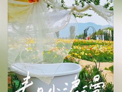 -名花谷生态庄园