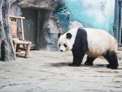 -苏州太湖国家湿地公园