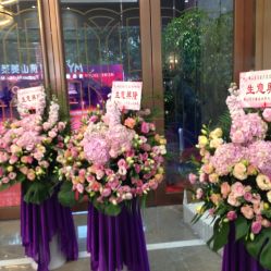 -美莱医疗美容医院