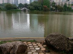 -四海公园(南山区)