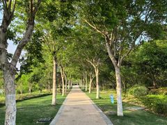 -昆山城市生态森林公园