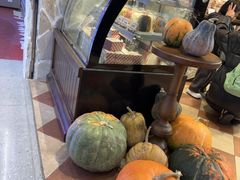 -乡田小墅(展览馆路JK FUN商城店)