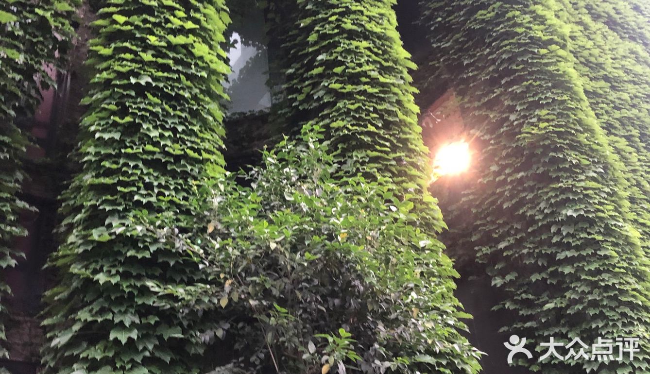 安静的吃个饭，和盆友聊天什么的
