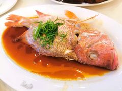 -新金盛·海鲜酒楼(盐田店)