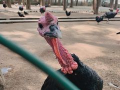 -南京金牛湖风景区