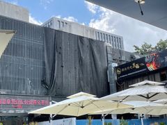 -野萃山·潮汕厚果汁(十亩地店)