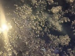 -新玛特购物广场(齐齐哈尔店)