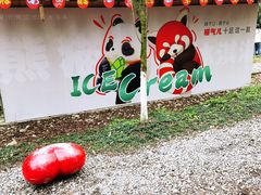 -都江堰中华大熊猫苑