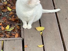 -川人川菜馆·小龙虾·鲜虾现做(黄山路店)