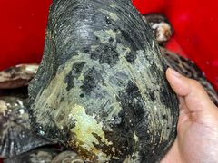 -晓琦农家菜馆·地道农家菜