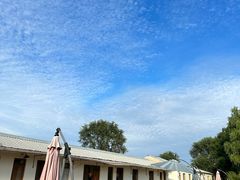 -北京群众马术培训基地