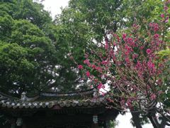 -乌山风景区