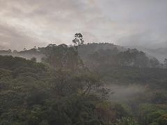 -碧桂园润杨溪谷温泉酒店