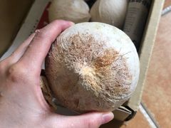 -三亚新鸿港水果一级批发市场