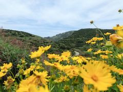 -嵛山岛