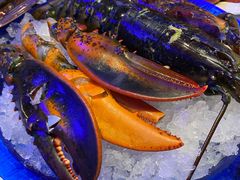 -半岛听涛蒸汽海鲜自助(K11店)