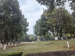-重庆彩云湖湿地公园