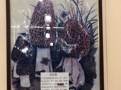 -太婆天府山珍酒楼(亚运村店)