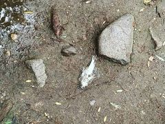 -碓臼峪自然风景区