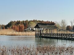 -溱湖国家湿地公园