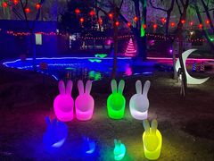 -枫花园汽车电影院(朝阳公园店)