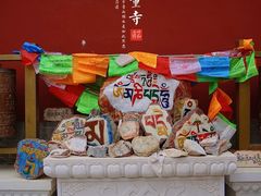-大召无量寺