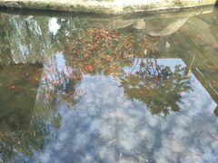 -白马涧龙池景区