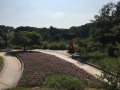 -宝岩生态观光园