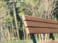 -望江楼公园